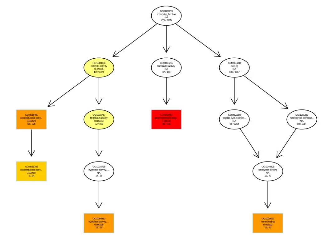 figure 7. Directed Acyclic Graph of GO Enrichment